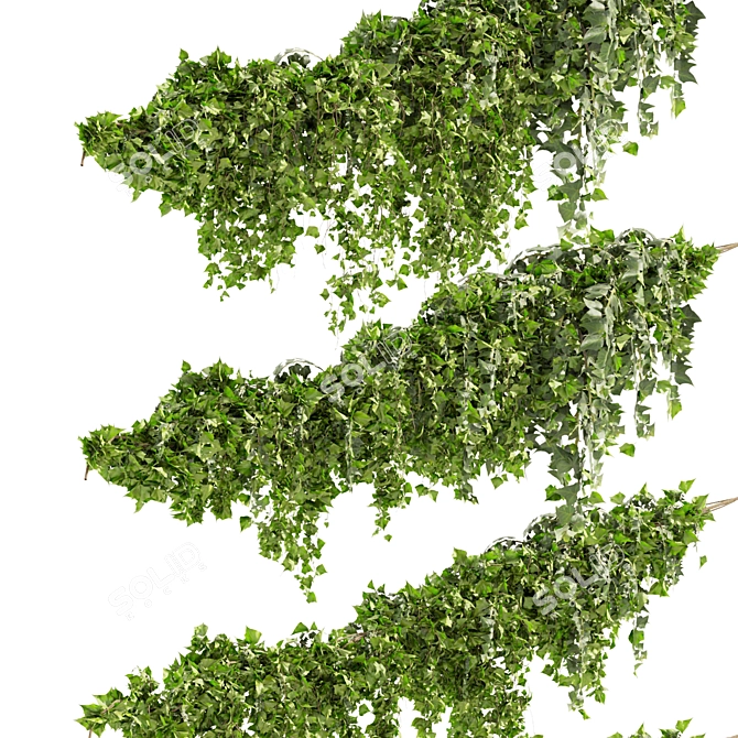 Ivy Fitowall Outdoor Plant Collection 3D model image 2