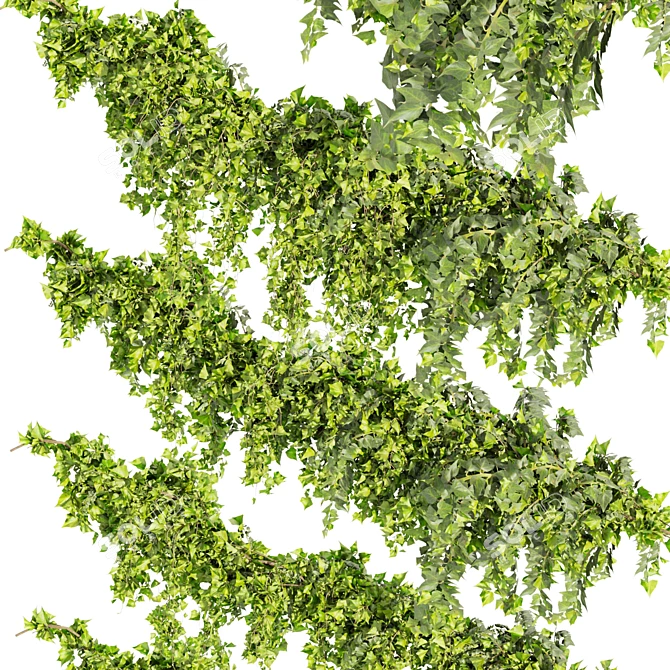Ivy Fitowall Outdoor Plant Collection 3D model image 3