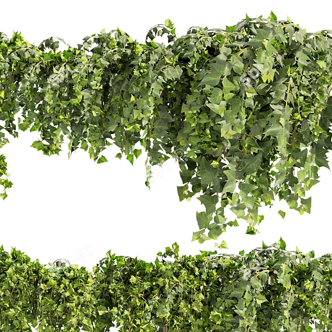 Ivy Fitowall Outdoor Plant Collection 3D model image 5