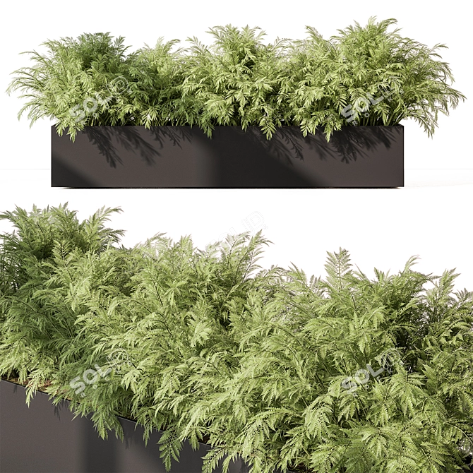 Outdoor Fern Plant, Large Size 3D model image 1