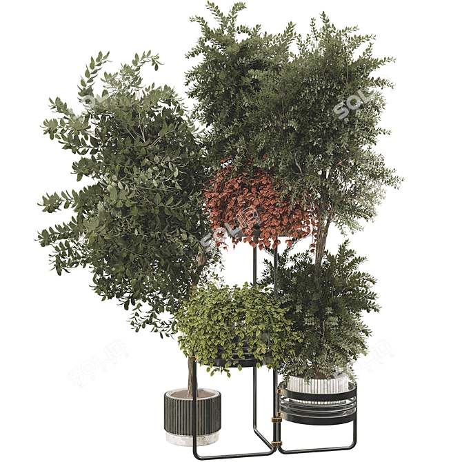 Modern Plant Collection with Shelf 3D model image 2