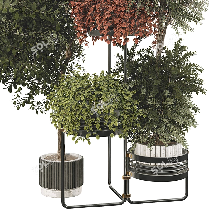 Modern Plant Collection with Shelf 3D model image 3