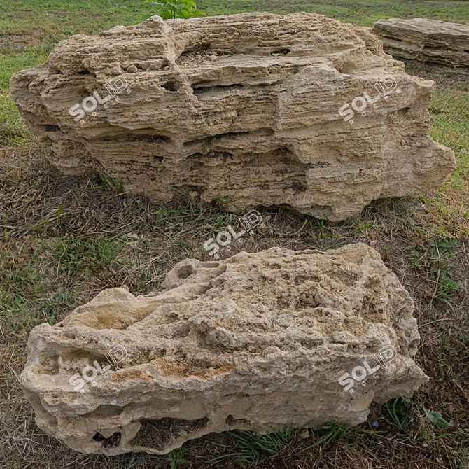 Landscape Stones with Texture Maps 3D model image 6