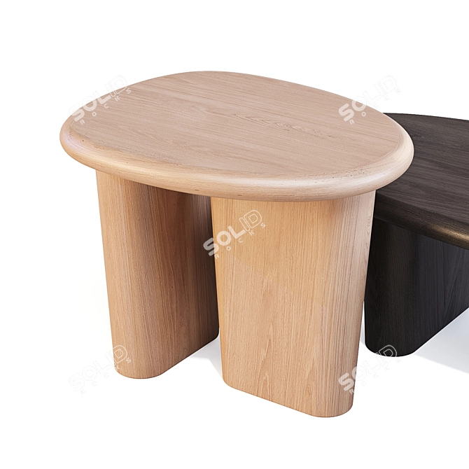 Nera Coffee & Side Tables 3D model image 4