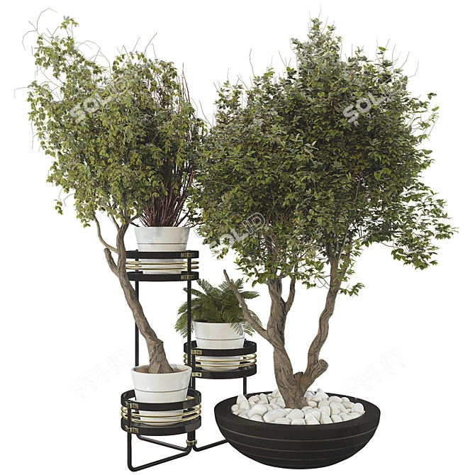 Modern Plant Set on Metal Shelf 3D model image 2