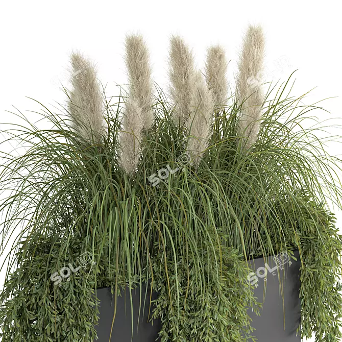 Pampas Grass Metal Planter Outdoor 3D model image 2