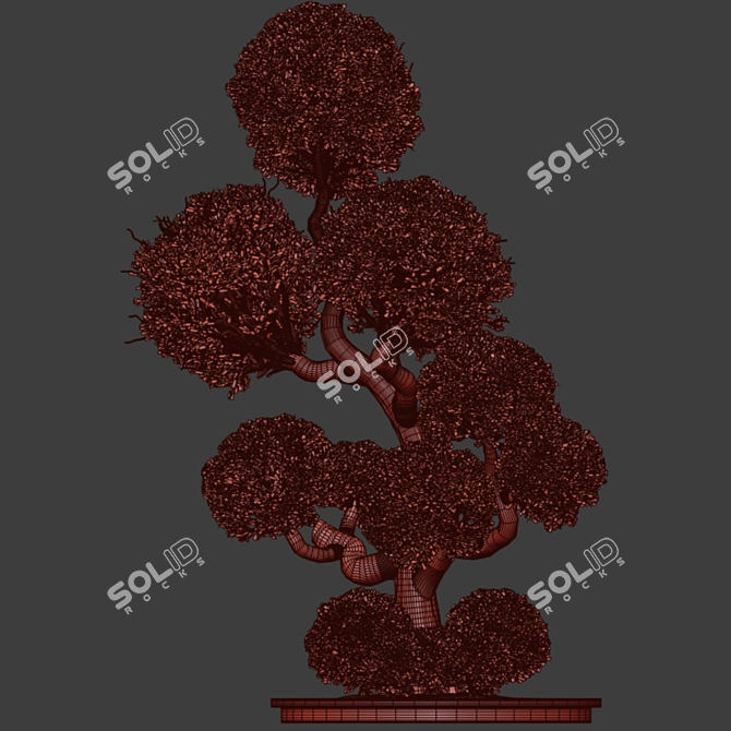 Ornamental Garden Tree & Bush 3D model image 4