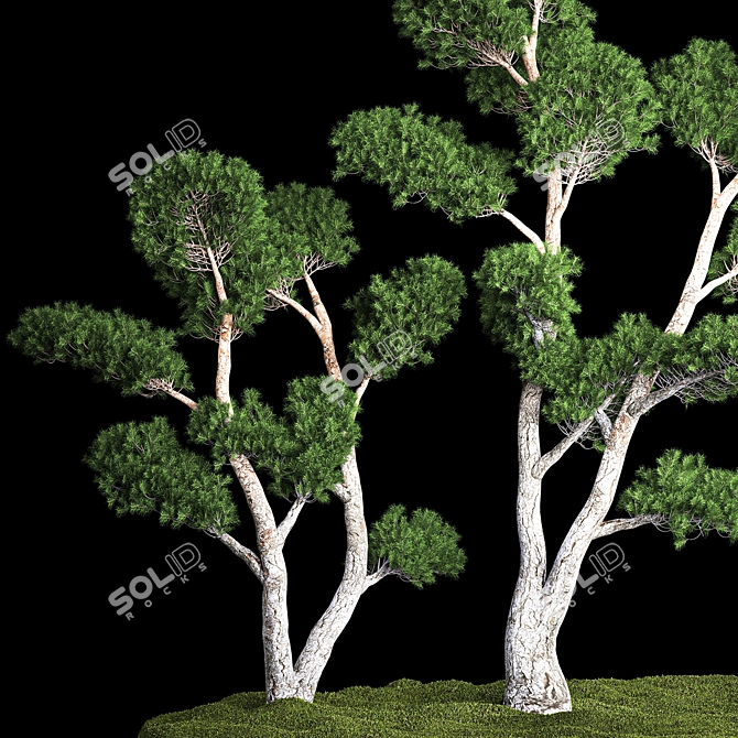 Cityscape Greenery Collection 3D model image 2