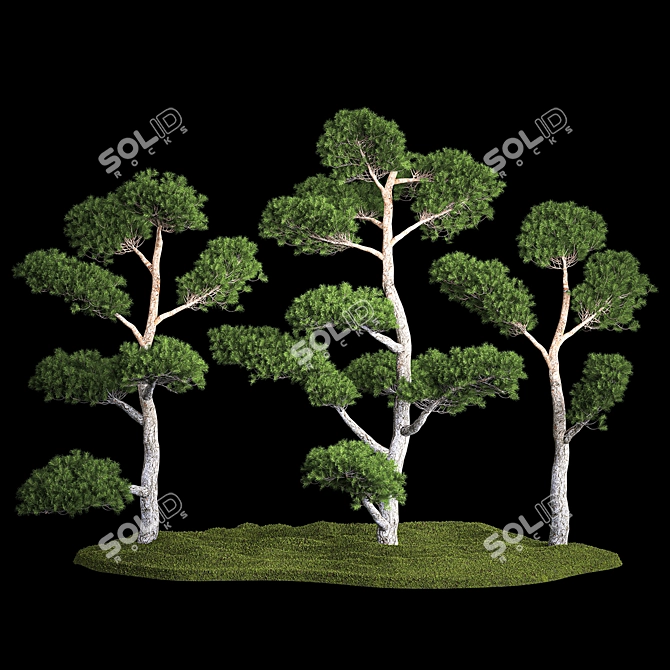 Urban Oasis Collection - Greenery for Stylish Landscaping 3D model image 1