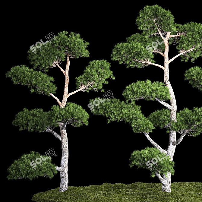 Urban Oasis Collection - Greenery for Stylish Landscaping 3D model image 2