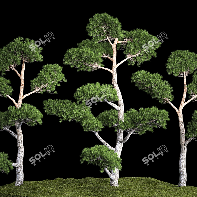 Urban Oasis Collection - Greenery for Stylish Landscaping 3D model image 3