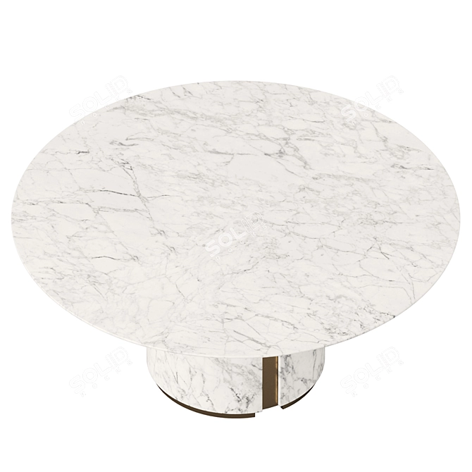 Elegant Ercolino Marble Coffee Table 3D model image 6