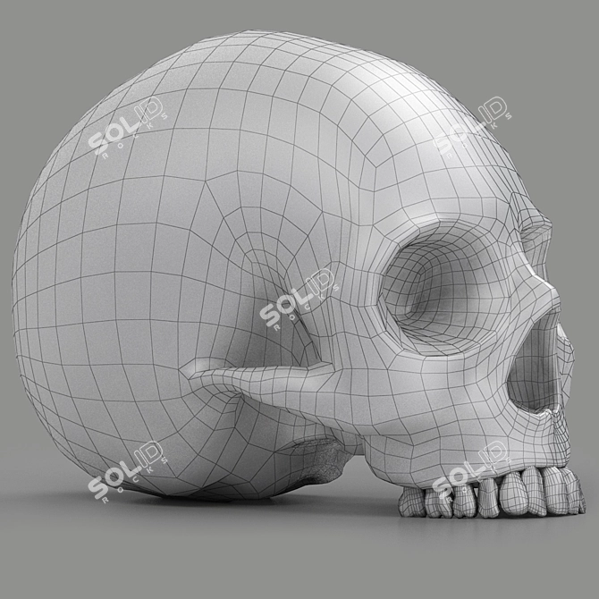 3D Skull Head Model: Render Ready 3D model image 6