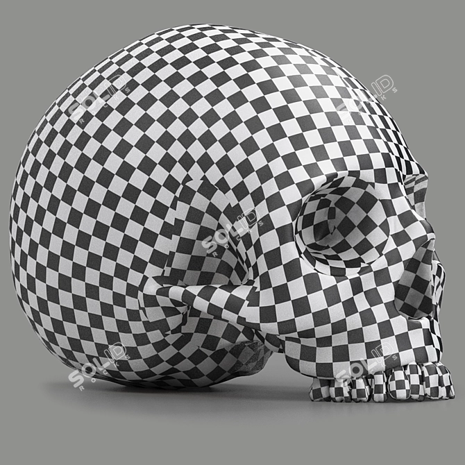 3D Skull Head Model: Render Ready 3D model image 7