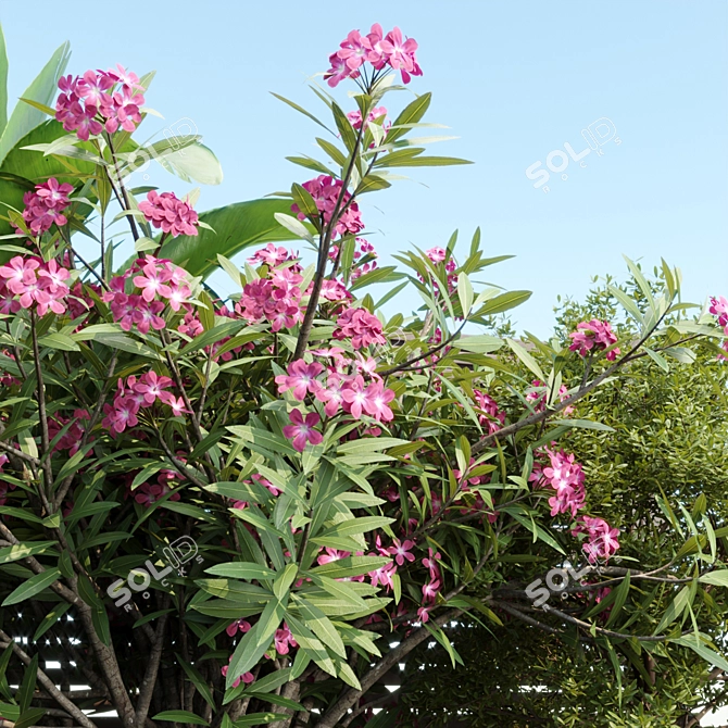 Organic Backyard Landscaping Plants Set 3D model image 3