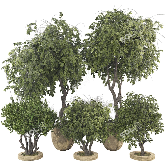 High-Quality Decorative Potted Plant Collection 3D model image 1