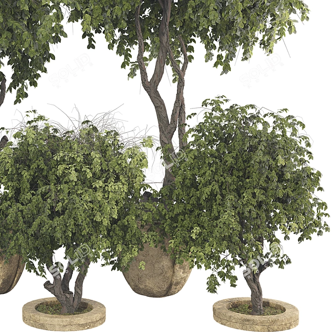 High-Quality Decorative Potted Plant Collection 3D model image 4