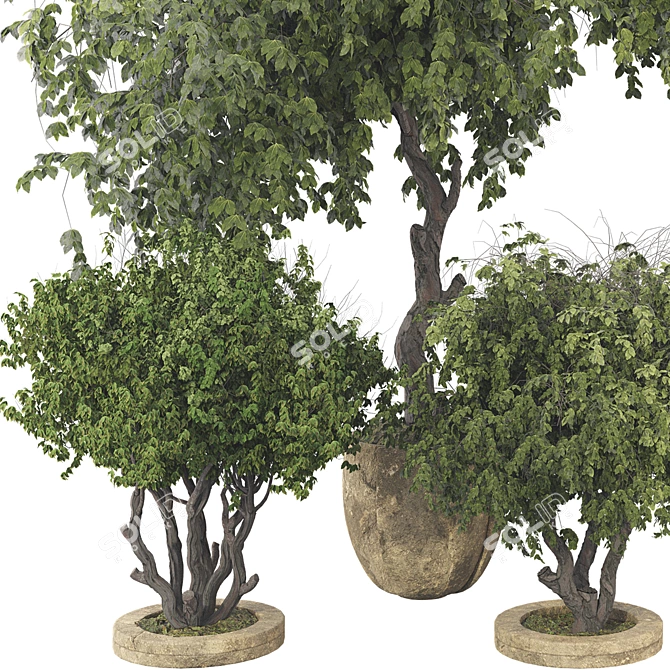 High-Quality Decorative Potted Plant Collection 3D model image 5