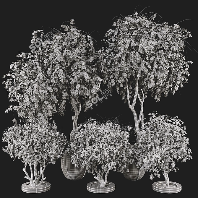 High-Quality Decorative Potted Plant Collection 3D model image 7