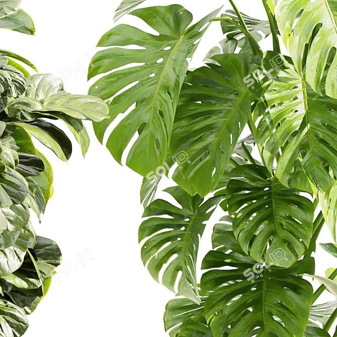 Premium Indoor Plant Collection Set 3D model image 2