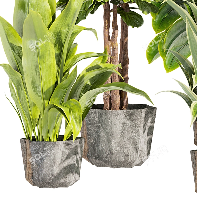 Premium Indoor Plant Collection Set 3D model image 5