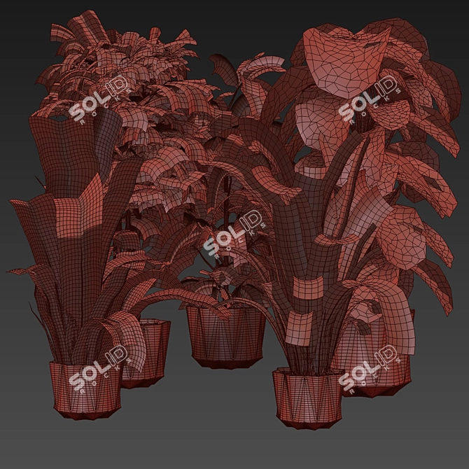 Premium Indoor Plant Collection Set 3D model image 6