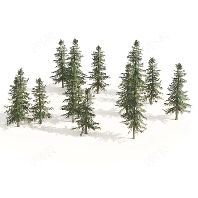 Optimized 3D Alaskan Cedar Forest 3D model image 3