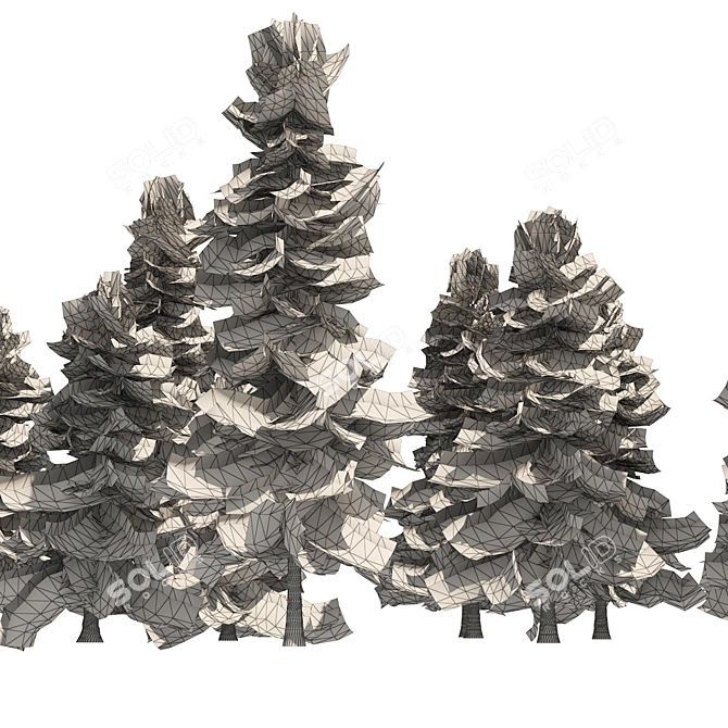 Optimized 3D Alaskan Cedar Forest 3D model image 9