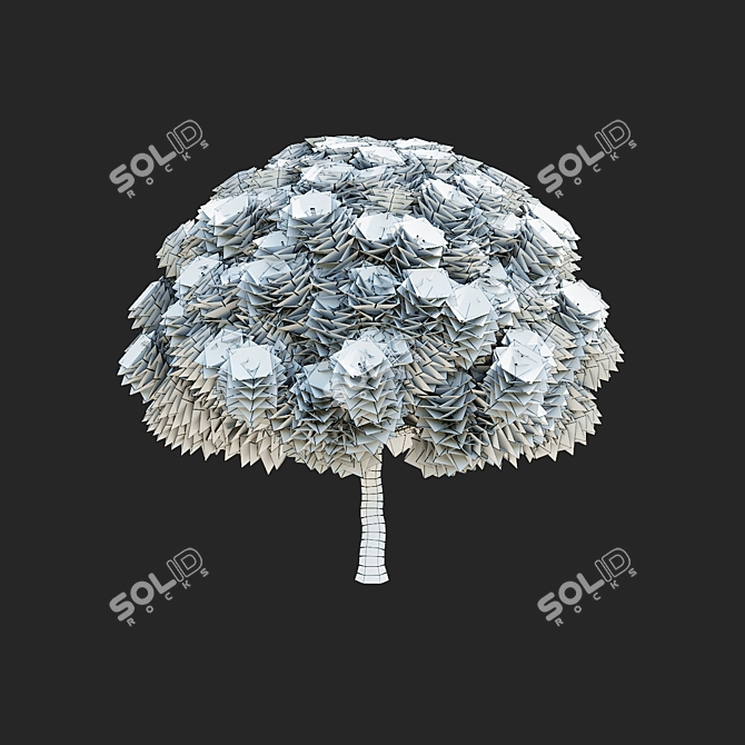 Mountain Pine Tree Bundle Set 3D model image 7