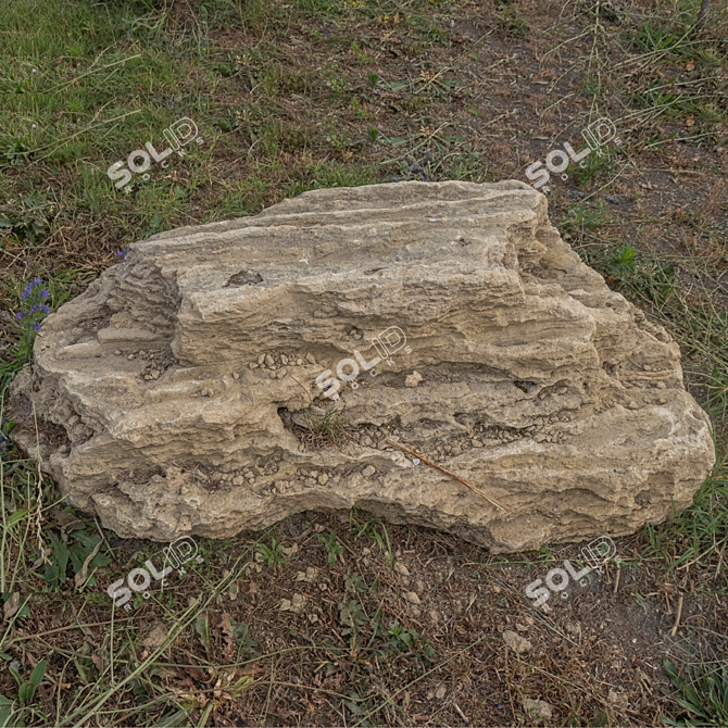 Park Landscape Stone Texture Kit 3D model image 3