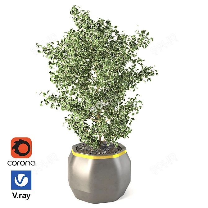 Elegant Indoor Botanical Collection 3D model image 2