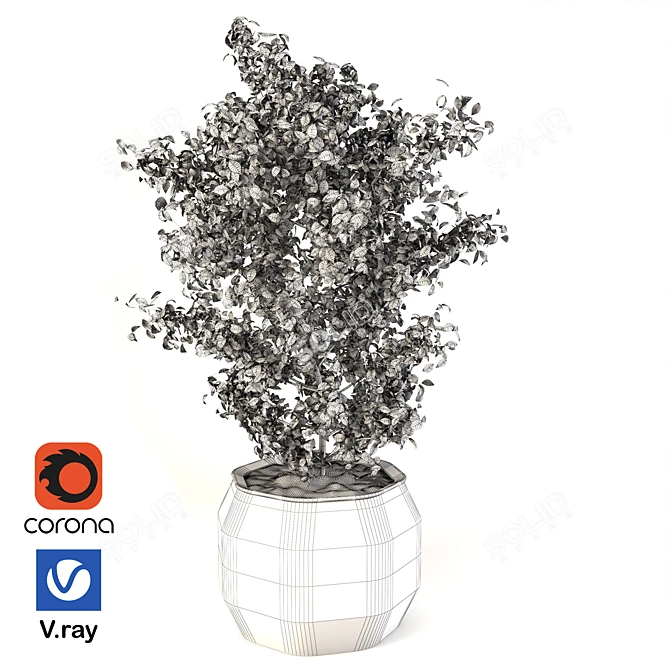 Elegant Indoor Botanical Collection 3D model image 4