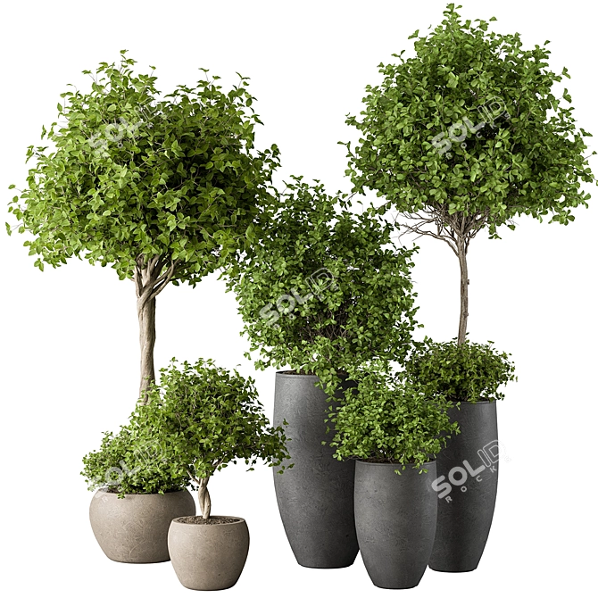 Urban Oasis Tree & Bush 3D model image 1