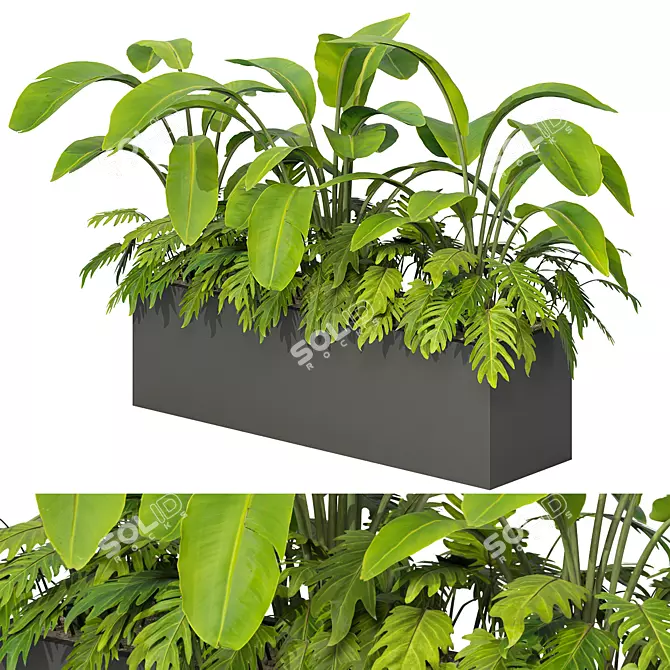 Tropical Outdoor Plant Set 2013 3D model image 1
