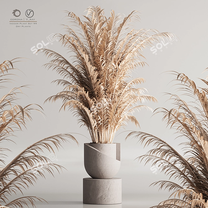 Modern 99 Dry Indoor Plants 3D model image 1