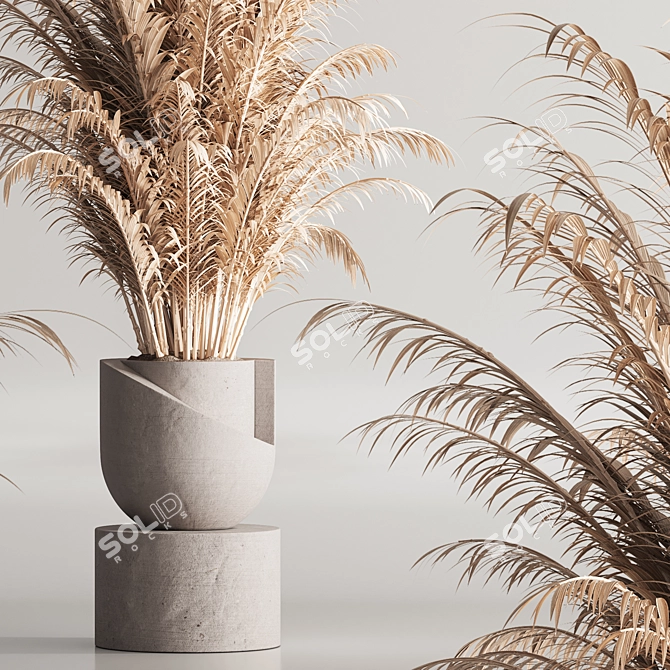 Modern 99 Dry Indoor Plants 3D model image 2