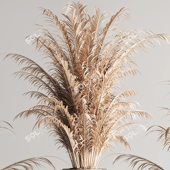 Modern 99 Dry Indoor Plants 3D model image 3