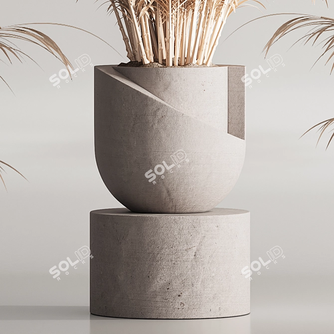 Modern 99 Dry Indoor Plants 3D model image 5