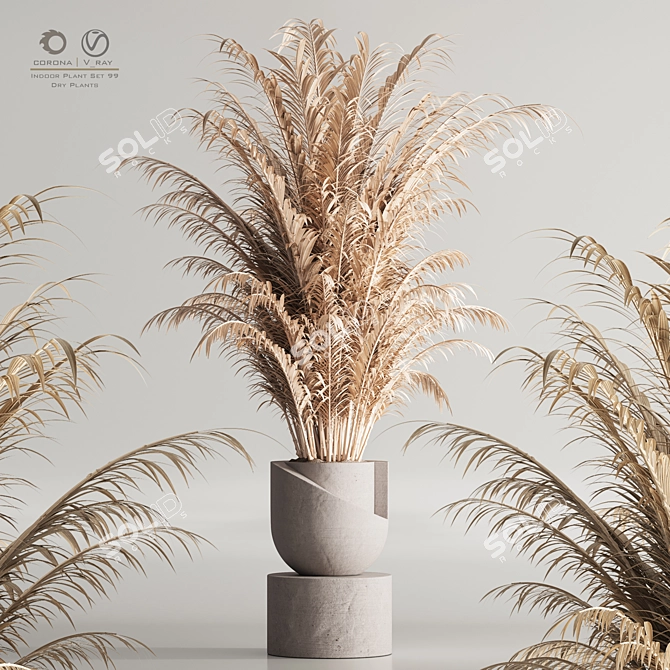 Modern 99 Dry Indoor Plants 3D model image 7