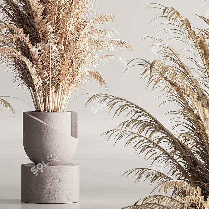 Modern 99 Dry Indoor Plants 3D model image 8