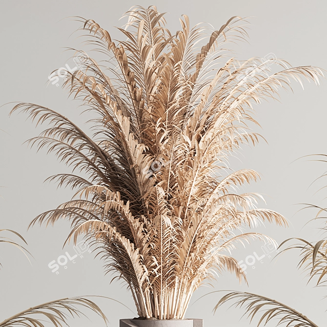 Modern 99 Dry Indoor Plants 3D model image 9