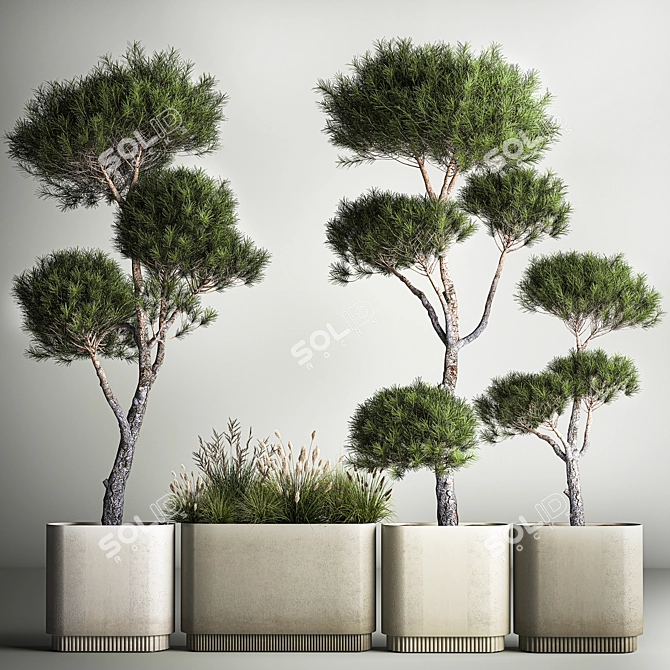 Niwaki and Topiary Collection 3D model image 1