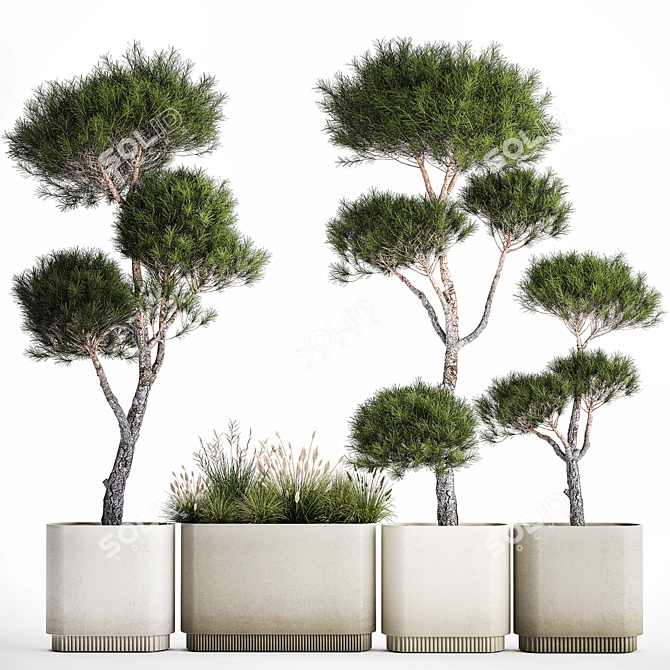 Niwaki and Topiary Collection 3D model image 4