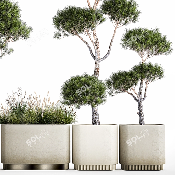 Niwaki and Topiary Collection 3D model image 5