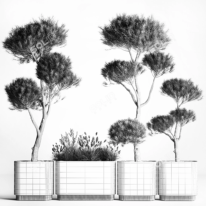 Niwaki and Topiary Collection 3D model image 7