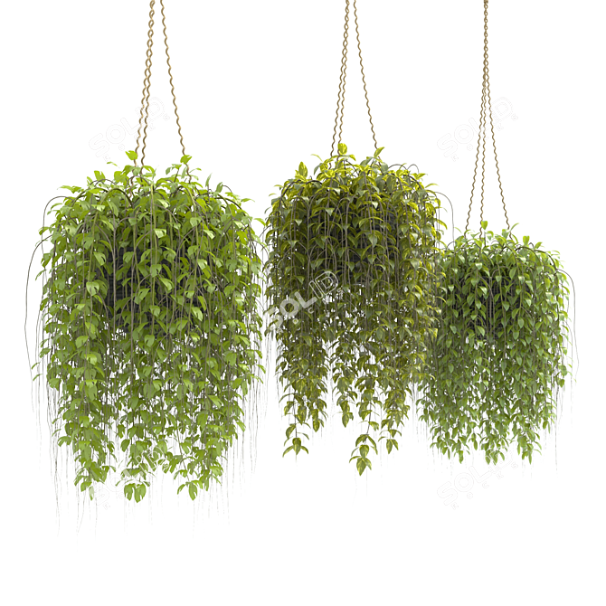 3D Hanging Basket Plants Collection 3D model image 3