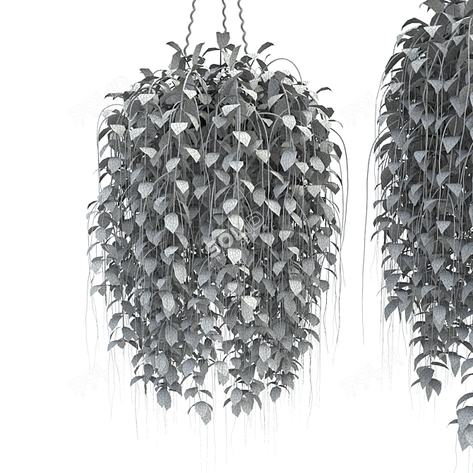 3D Hanging Basket Plants Collection 3D model image 6