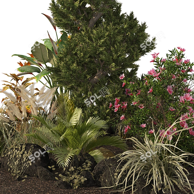 Rustic Garden Plant Collection 3D model image 3