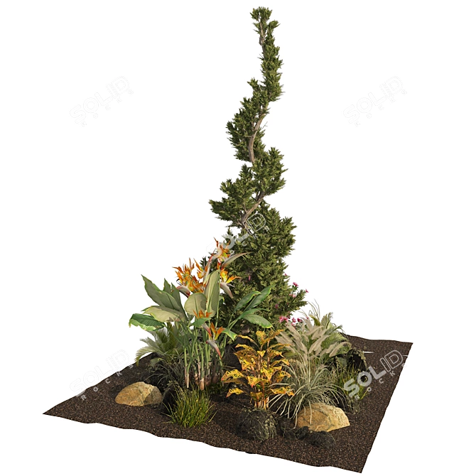 Rustic Garden Plant Collection 3D model image 5