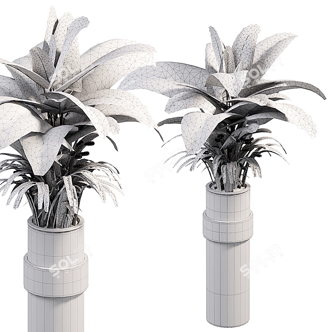 Botanically Inspired Indoor Fern Plants 3D model image 2